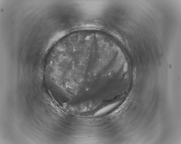 X0000086951405200705071431