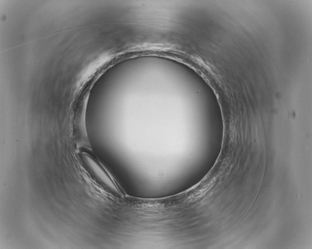 X0000086951406200705071431