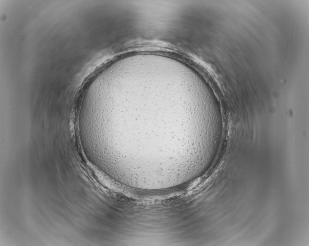 X0000086951407200705071431