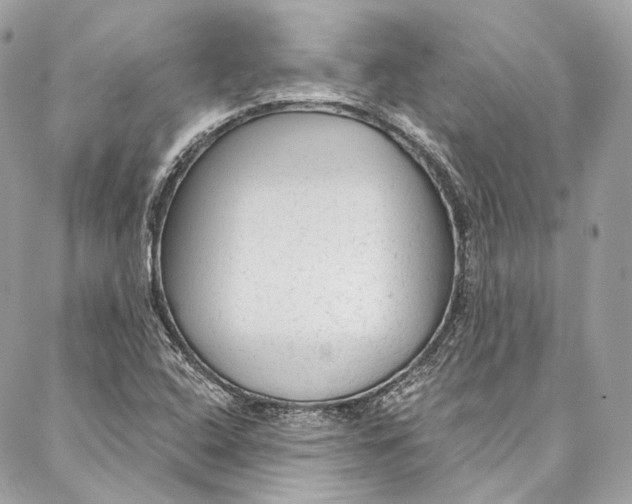 X0000086951408200705071431