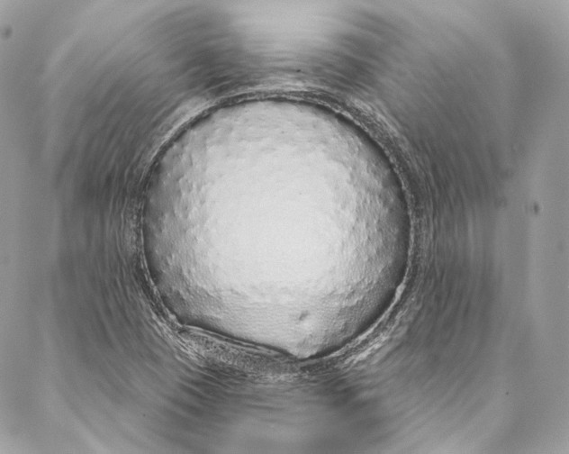 X0000086951409200705071431