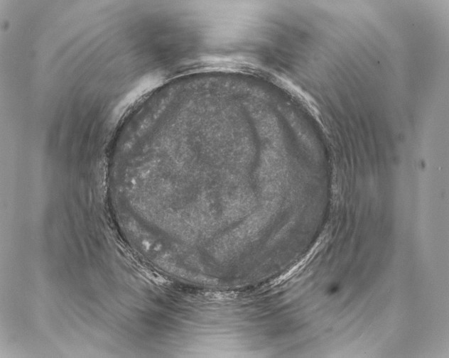 X0000086951411200705071431