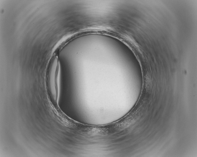 X0000086951412200705071431