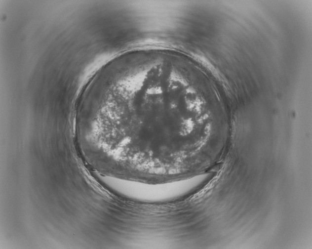 X0000086951413200705071432