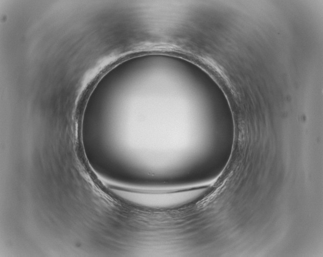 X0000086951414200705071432