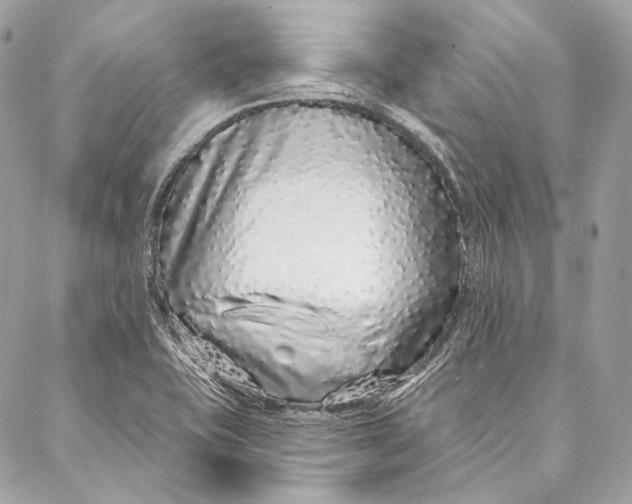 X0000086951415200705071432