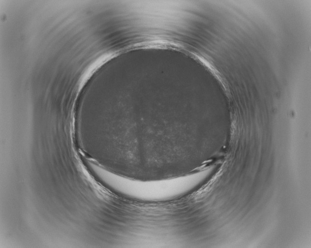 X0000086951418200705071432