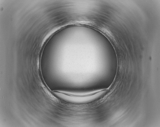 X0000086951420200705071432