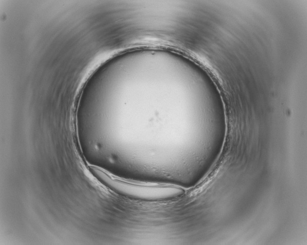 X0000086951421200705071432