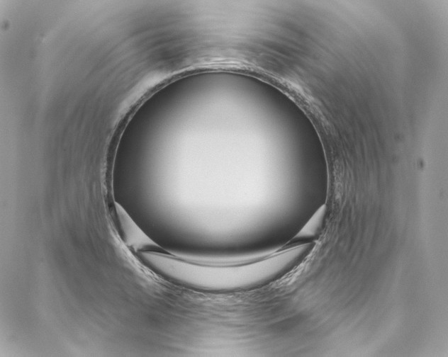 X0000086951422200705071432