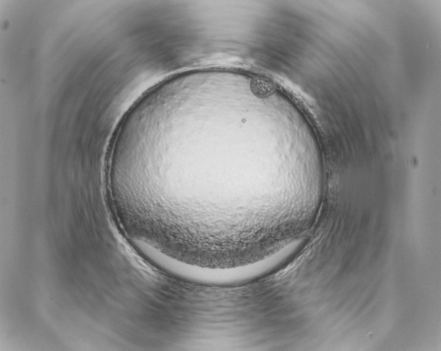 X0000086951423200705071432