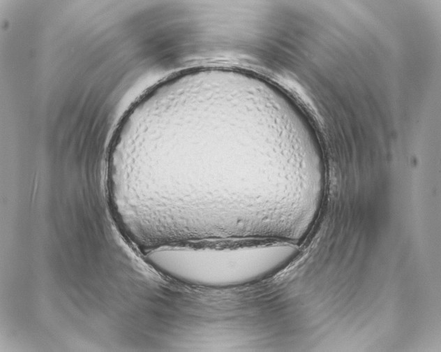 X0000086951424200705071432