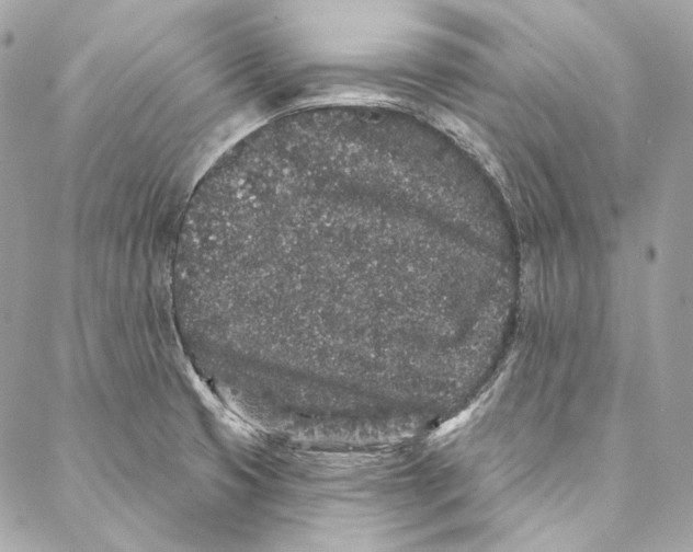 X0000086951425200705071432