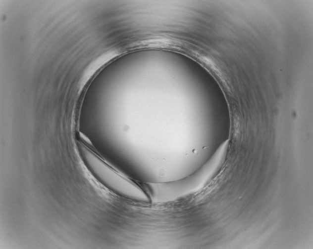 X0000086951426200705071432