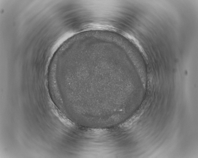 X0000086951427200705071432