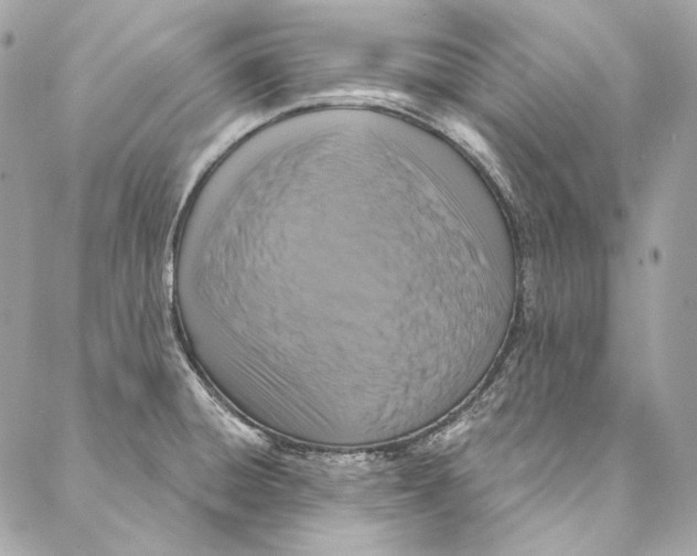 X0000086951428200705071432