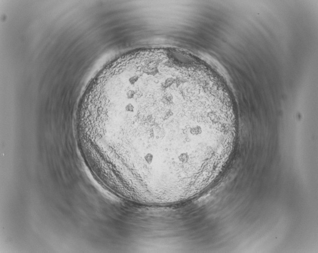 X0000086951429200705071432