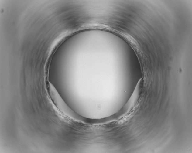 X0000086951430200705071432