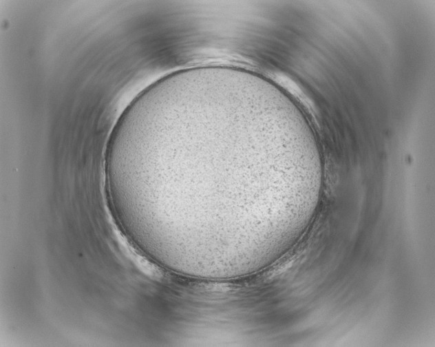 X0000086951431200705071432