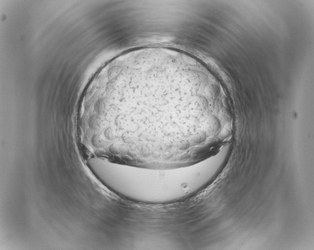 X0000086951432200705071432