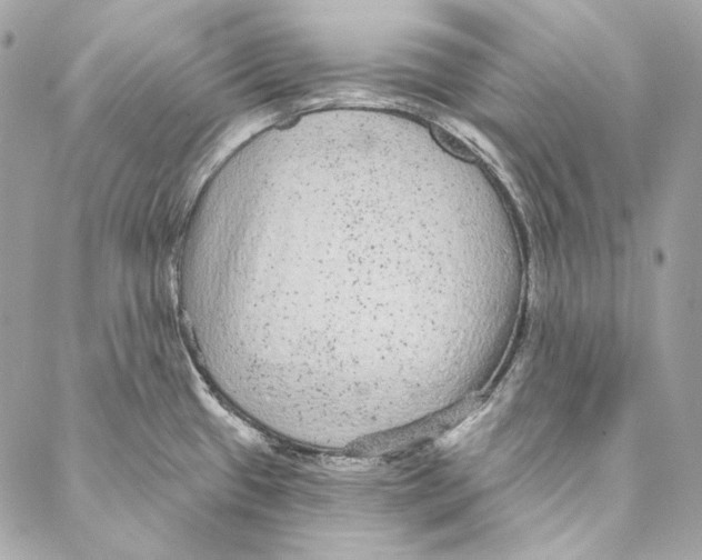 X0000086951433200705071432