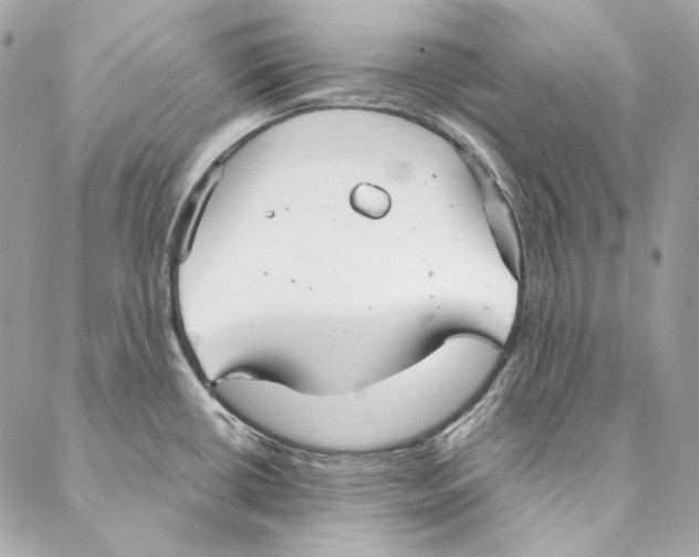 X0000086951434200705071432