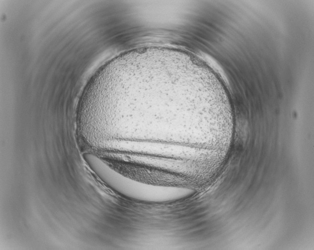 X0000086951435200705071432