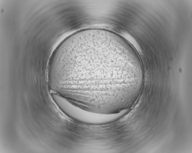 X0000086951436200705071432