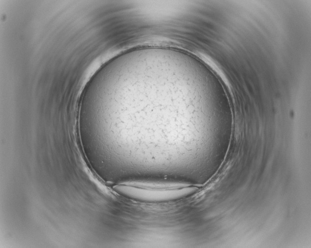 X0000086951437200705071432