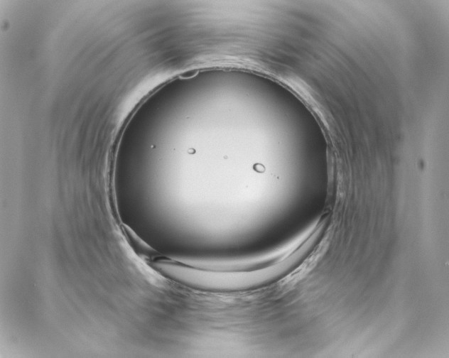 X0000086951438200705071432