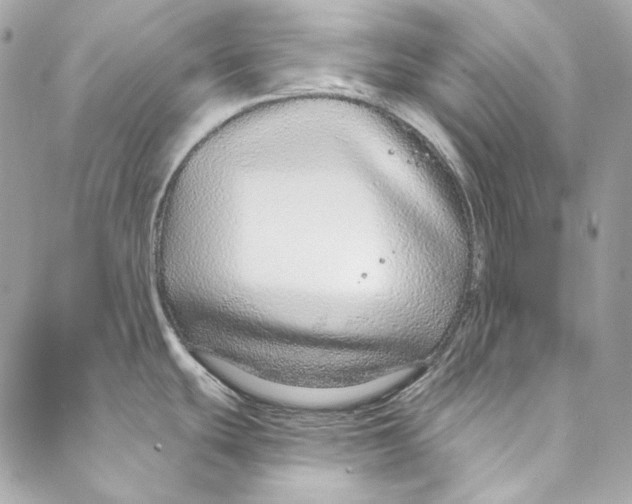 X0000086951439200705071432