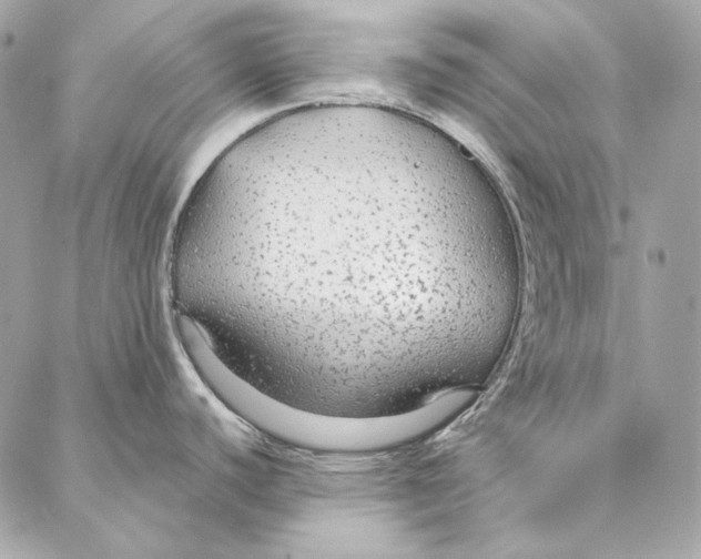 X0000086951440200705071432