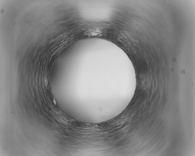 X0000086951442200705071431