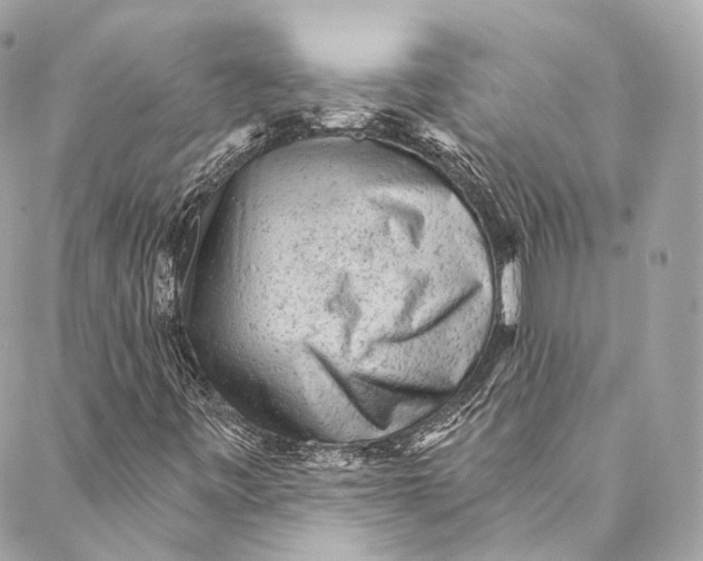 X0000086951443200705071431