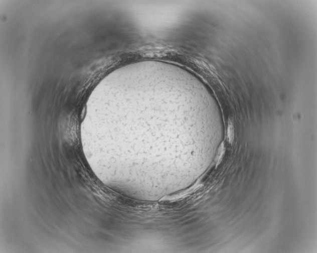 X0000086951444200705071431