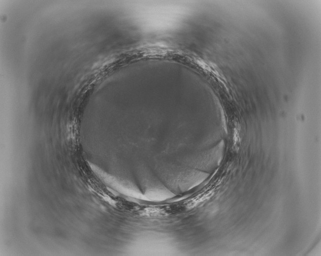 X0000086951445200705071431