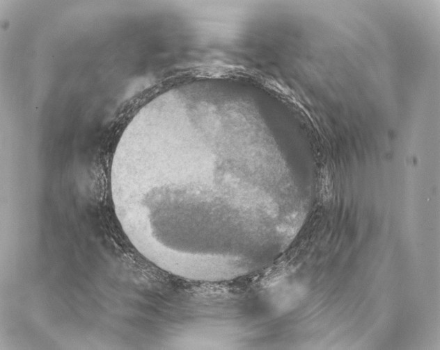 X0000086951446200705071431