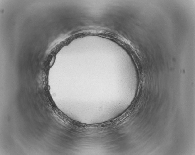 X0000086951448200705071431