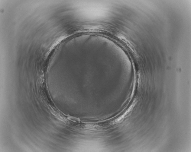 X0000086951449200705071431