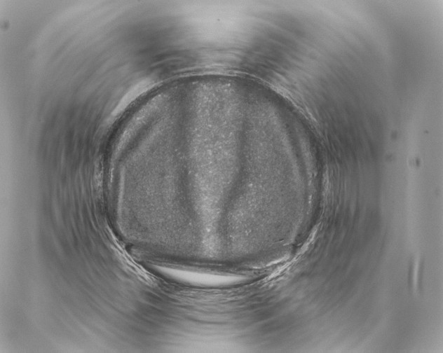 X0000086951450200705071431