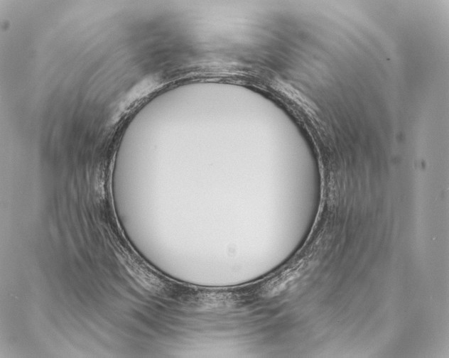 X0000086951451200705071431