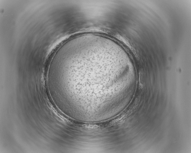 X0000086951452200705071431