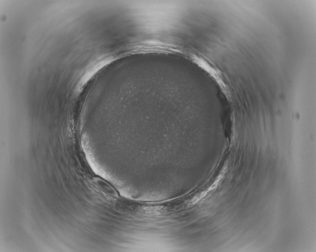 X0000086951453200705071431