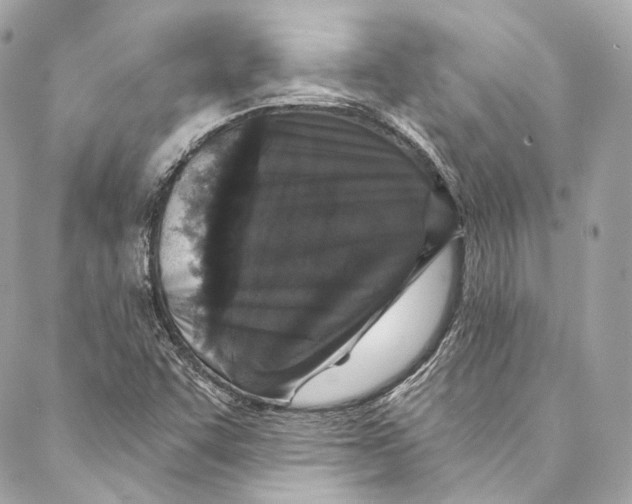 X0000086951455200705071431