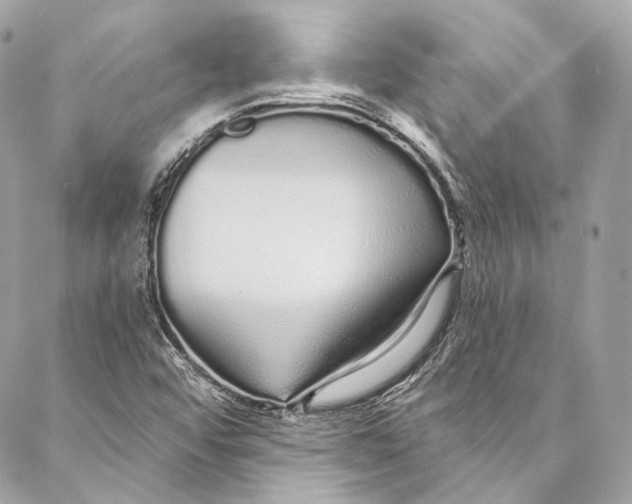 X0000086951456200705071431