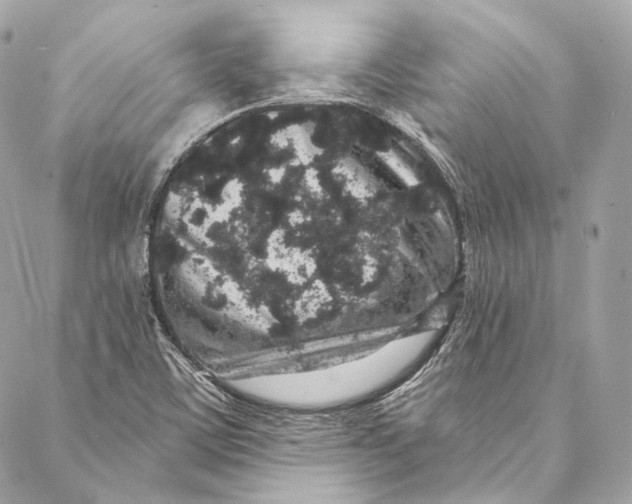 X0000086951459200705071431