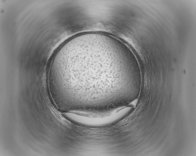 X0000086951460200705071431