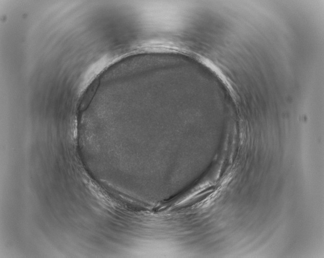 X0000086951461200705071431