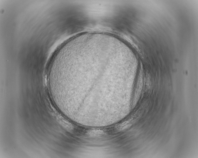 X0000086951462200705071431