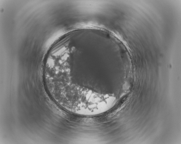 X0000086951463200705071431